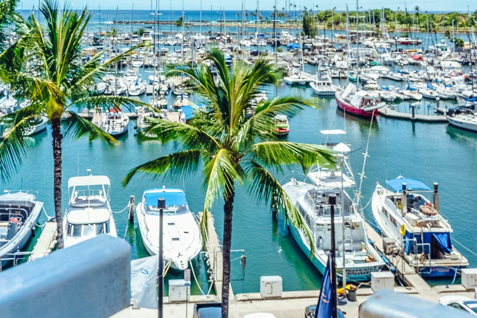 Small boats moored at a marina on Oahu with palms in the foreground